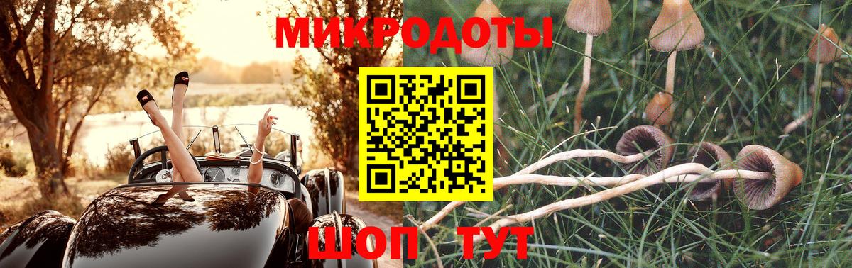 Вятские Поляны  Псилоцибиновые грибы GOLDEN TEACHER  Вход с VPN 